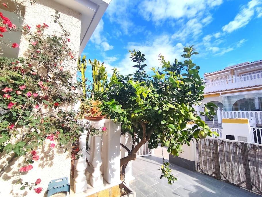 Rincon Mediterraneo Gran Alacant Εξωτερικό φωτογραφία